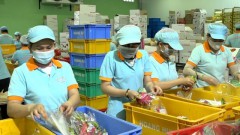 Vietnamese exporters’ efforts in finding orders rewarded