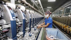 Export remains major driving force of apparel industry