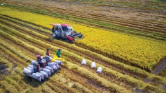 Strengthening regional linkages to promote local strengths