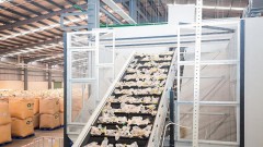 Invest early to catch opportunities from the carbon credit market