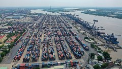 Enterprises are tired of waiting to take phytosanitary samples at the port