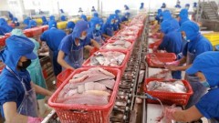 Fisheries sector takes advantage of market opportunities to well recover