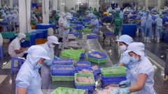 Vietnam, US witness strides in trade connections