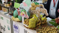 Food enterprises urged to study market demand carefully to expand international reach