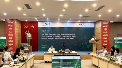 Balance policies to promote the potential for exporting digital economic products