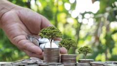 Solutions for expanding green credit