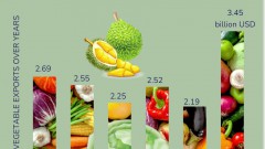 Fruit and vegetable exports continue to flourish, up 57.5%