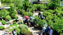Hanoi moves to tap riverside agri-tourism potential