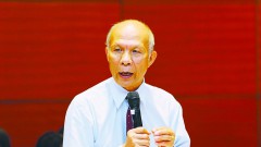 Implement effectively stimulus policies to promote growth