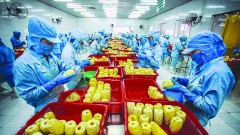 The United States - a potential market for exporting goods