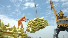 New challenges and opportunities for Vietnam's rice exports