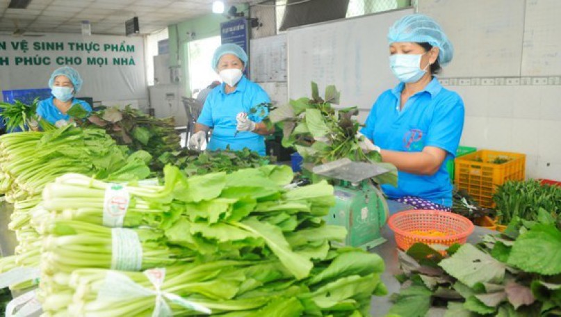 Many highlights brighten in economic landscape of HCMC