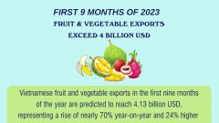 Fruit and vegetable exports exceed 4 bln USD