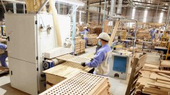 Outlook for&nbsp;wood products exports to UK remains optimistic
