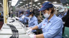 Vietnam's economic growth to slow to 4.7% this year: World Bank