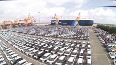 Vietnam to meet its commitments in automobile import sector