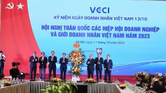VCCI and Vietnamese Enterprises, Entrepreneurs Collective Efforts for Economic Development