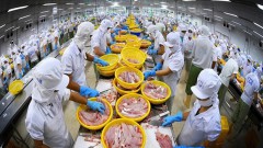 Vietnam needs brand building to boost exports to CPTPP market