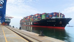 Seaport stocks anticipate bright outlook in Q4