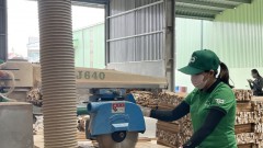UKVFTA: pushing the timber industry towards sustainability