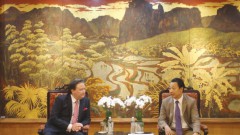 U.S. Ambassador Meets with VCCI Executive Vice President