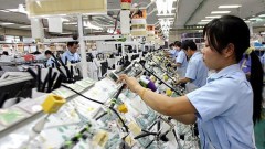 Vietnam among destinations with better investment guarantees from Germany