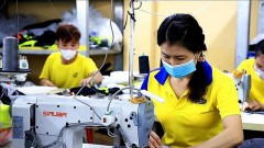 Vietnam steps up implementation of labour commitments in free-trade agreements