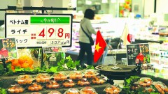 Bringing Vietnamese goods to Japanese supermarkets