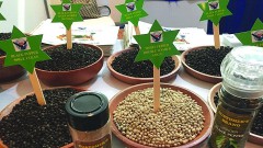 Potential for exporting spices and flavorings