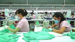 Greening the textile industry from&nbsp;pioneering enterprises