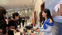 Many mountainous products haven’t been accessed to modern business platforms