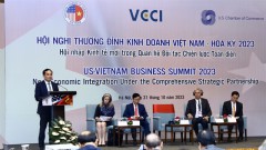 VN-US comprehensive strategic partnership to unlock bilateral cooperation potential