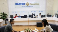 Market sentiment to improve further on supportive news