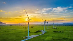 Green economy key for&nbsp;sustainable growth