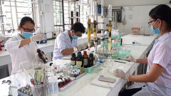 Vietnam has opportunity for foundational economic development