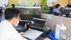 Bond market shows gradual improvement