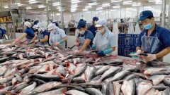 Fishery industry sees potential export recovery by year end