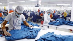 Garment sector sees signs of recovery