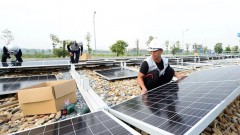 Vietnam shows strong political commitment to maximising green energy transition