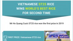 Vietnamese ST25 rice named world’s best for second time