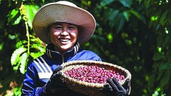 Enhancing Vietnamese agricultural products through strategic brand building