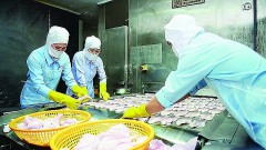 It is necessary to solve the problem of quality and market for sustainably seafood export