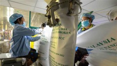 2023 export success boosts rice sector outlook