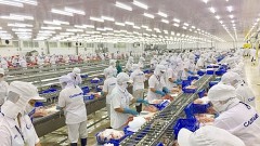 Many expect to increase shrimp exports to China in 2024