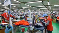 Multidisciplinary linkages bring high value to businesses