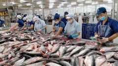 Seafood exports face many challenges this year