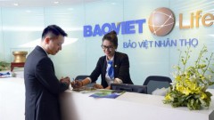VN's insurance market to rebound with caution