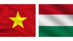 Vietnam - Hungary Comprehensive Partnership