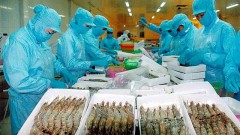 Vietnam’s seafood exports forecast to recover slightly in H1