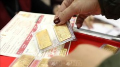 VN should consider removing monopolies in gold import and production